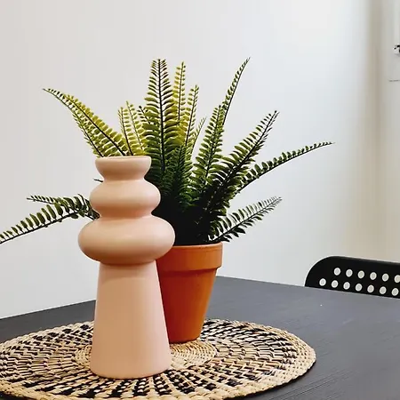 Zorroza アパート *